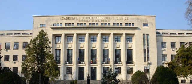 academy front side.JPG